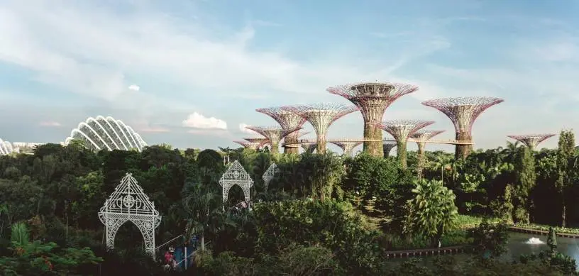 The Best of Singapore Colleges and Universities